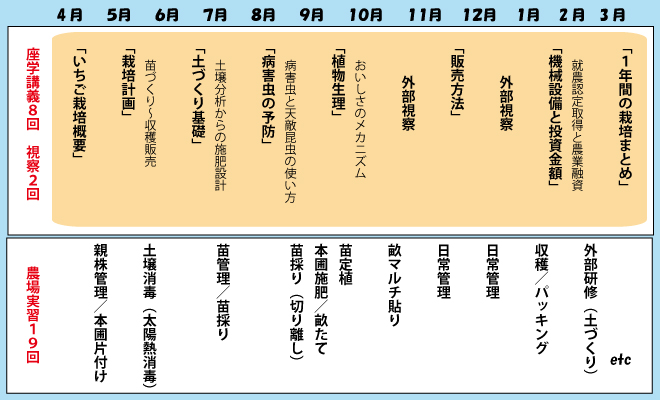 いちご栽培週末コース　スケジュール