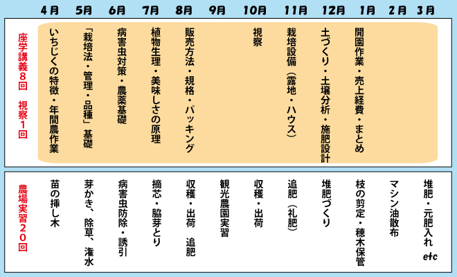 いちじく栽培週末コース　スケジュール