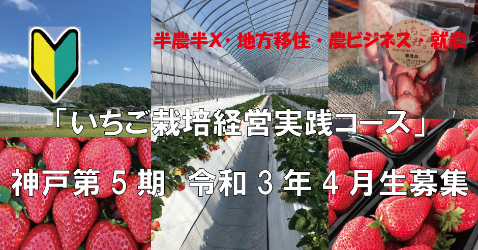 いちご栽培経営実践コースin神戸 ゼロから始める農業起業塾